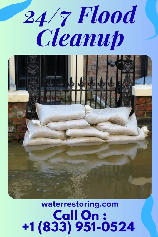 24/7 Flood Cleanup in Newburg, WV