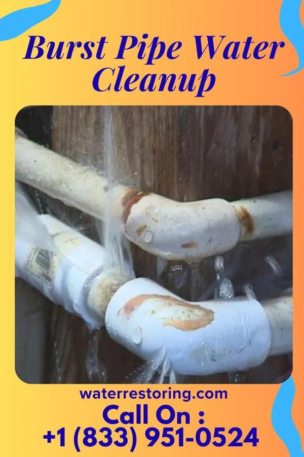 Burst Pipe Water Cleanup in Newburg, WV