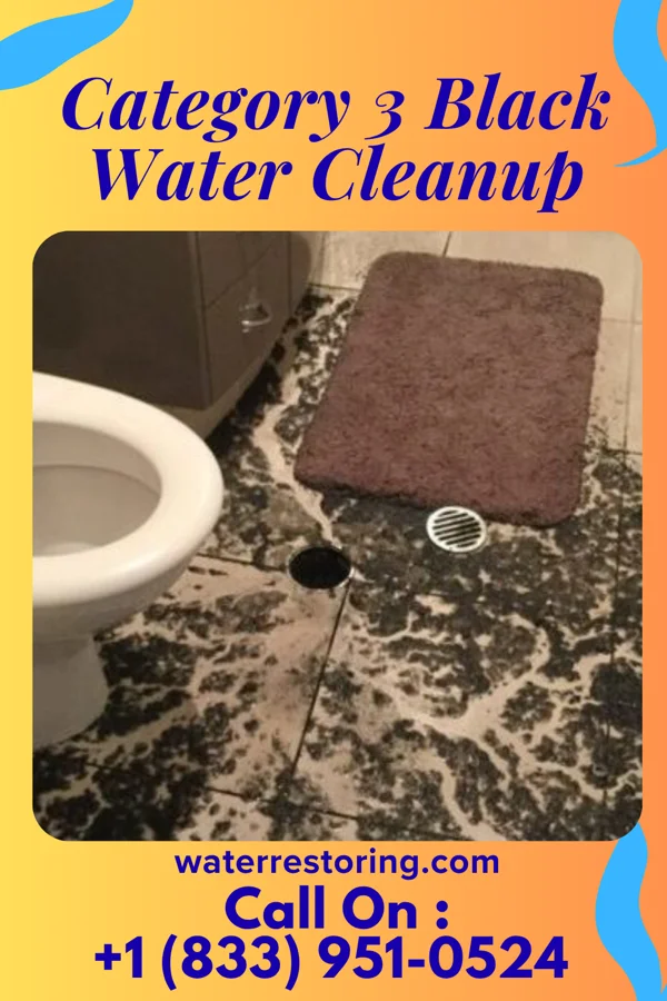 Category 3 Black Water Cleanup in Newburg, WV