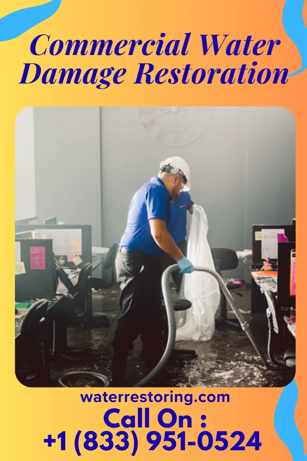 Commercial Water Damage Restoration in Newburg, WV