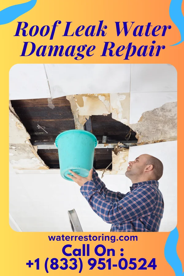 Roof Leak Water Damage Repair in Newburg, WV