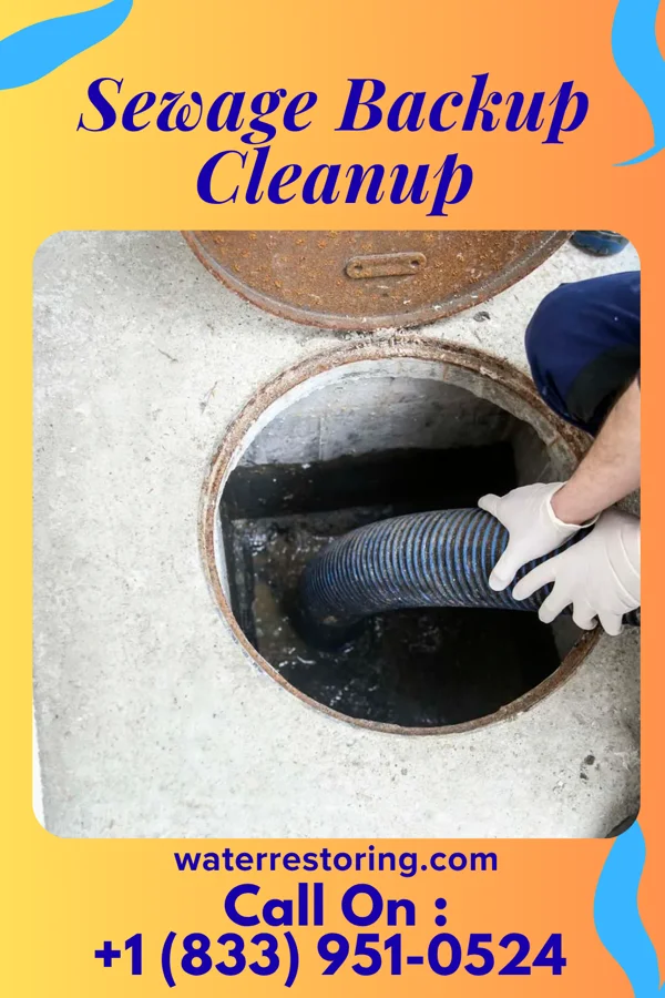 Sewage Backup Cleanup in Newburg, WV
