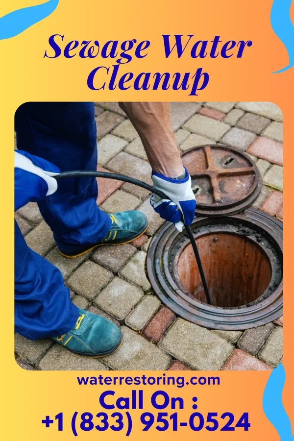 Sewage Water Cleanup in Newburg, WV