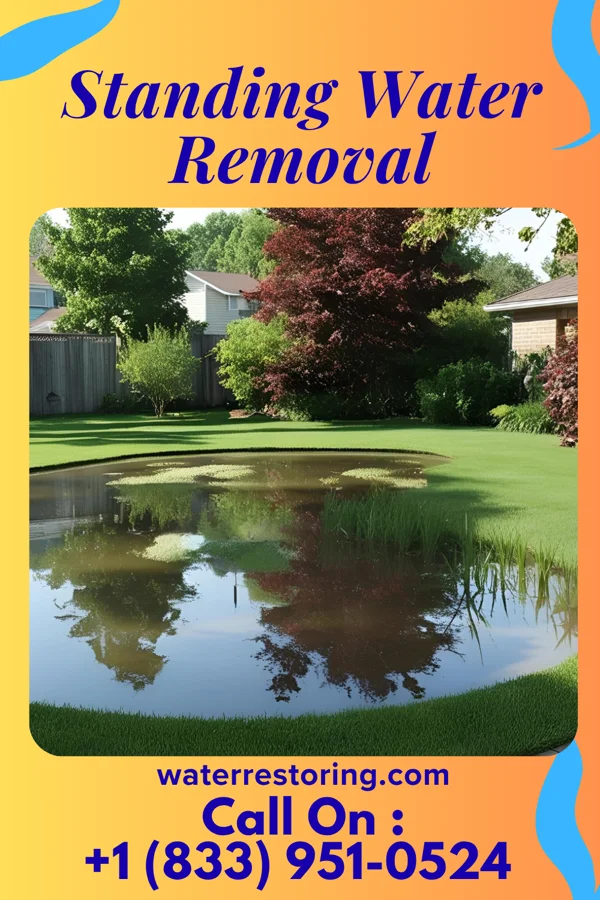 Standing Water Removal in Newburg, WV